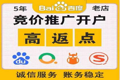 百度竞价排名案例解析：如何快速提升网站流量